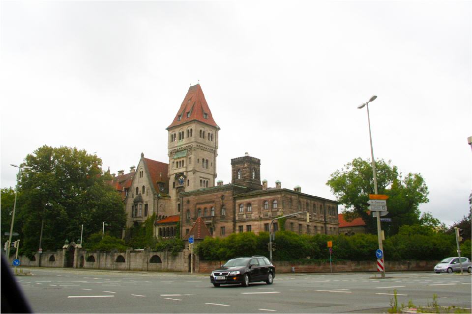 Ein Waldkauz war in einen Kamin gefallen.