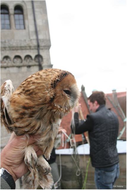 Nach der Rettung konnte er nach erfolgter Untersuchung...