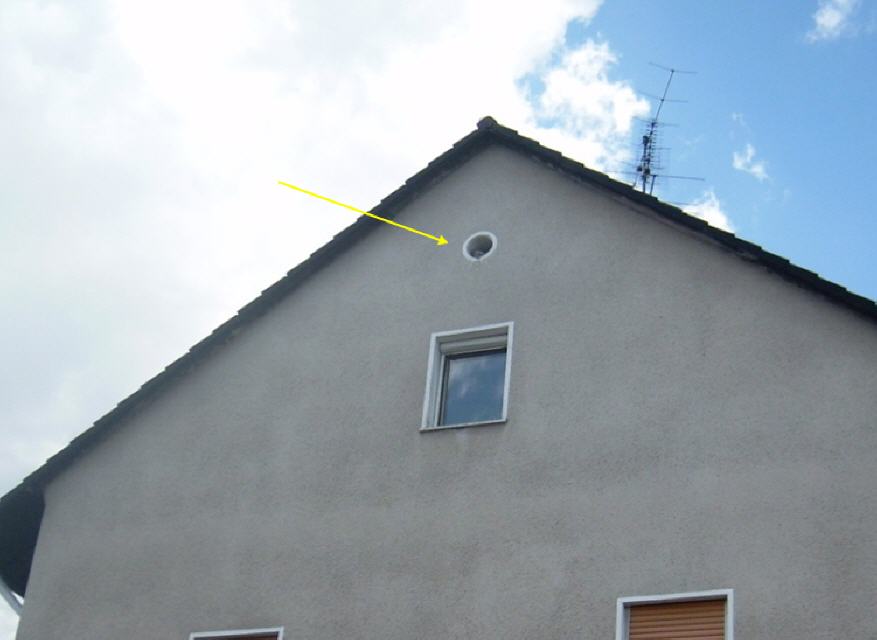 Ungeeigneter Turmfalkenbrutplatz in der Dachluke...