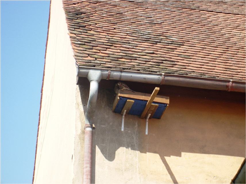 ... wurde durch geeignete Nisthilfe ersetzt...