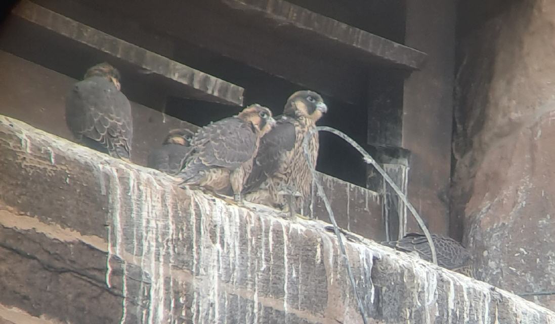 erster Morgen im neuen Zuhause