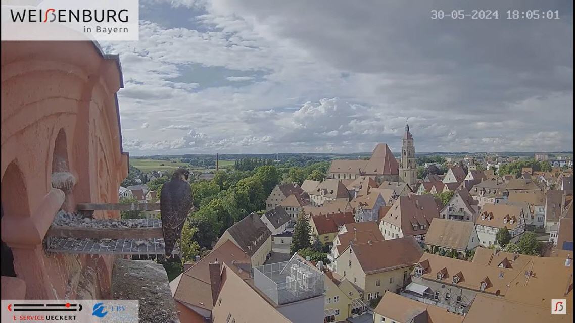 Adoption in Weißenburg geglückt